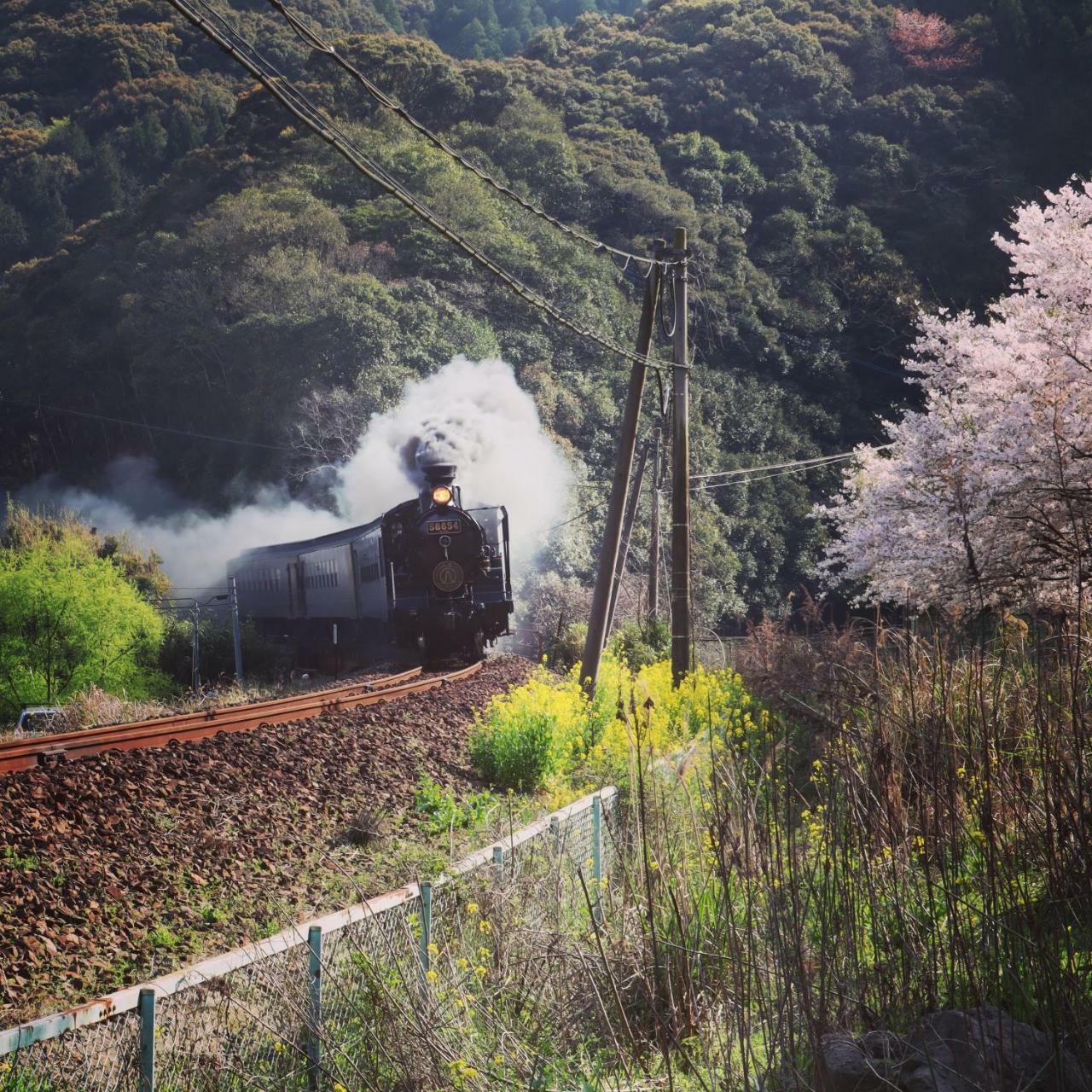 فندق Hitoyoshi Onsen Ohgano Yado المظهر الخارجي الصورة